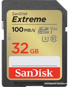 Карта памяти Extreme SDHC SDSDXVT 032G GNCIN 32GB Sandisk