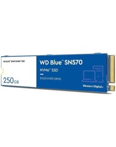 SSD Blue SN570 250GB S250G3B0C Wd