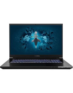 Игровой ноутбук Evol X17 Pro Max A10003400459 Colorful