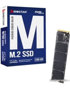 SSD M760 256GB M760 256GB Biostar