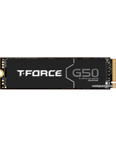 SSD T Force G50 1TB TM8FFE001T0C129 Team