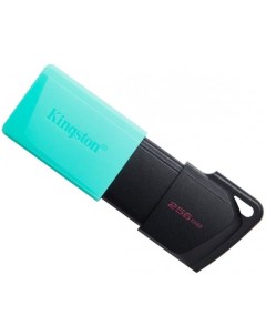 USB Flash DataTraveler Exodia M 256GB Kingston