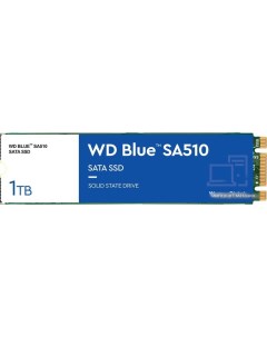 SSD Blue 1TB S100T3B0B Wd