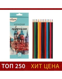 Карандаши цветные акварельные 12 цветов заточенные в картонной коробке Calligrata