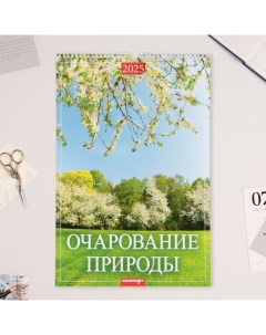 Календарь перекидной на ригеле А3 Очарование природы 2025 32 х 48 см Издательство «каленарт»