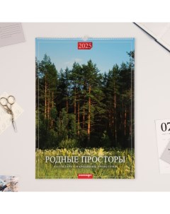 Календарь перекидной на ригеле А2 Родные просторы 2025 42 х 60 см Издательство «каленарт»