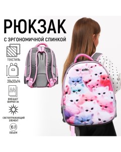 Рюкзак каркасный "Котята", 39х30х14 см, для девочки Calligrata