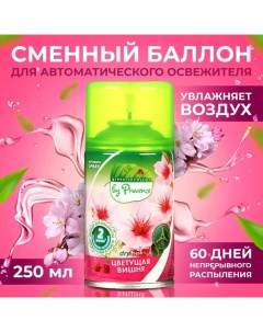 Освежитель воздуха Green collection by Цветущая вишня универсальный сменный баллон Provence