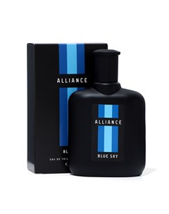 Туалетная вода мужская Alliance Blue Sky, 100 мл (по мотивам Blue Seduction (A.Banderas) Delta parfum