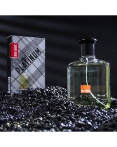 Парфюмерная вода мужская Red Label Platinum, 100 мл (по мотивам Egoiste Platinum (Chanel) Today parfum