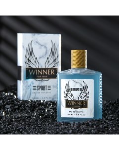 Туалетная вода мужская Sport Winner, 100 мл (по мотивам Invictus (P.Rabanne) Today parfum