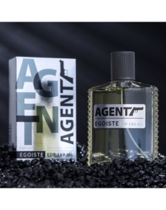 Парфюмерная вода мужская Agent Egoiste, 100 мл (по мотивам Egoiste Platinum (Chanel) Today parfum