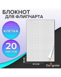 Блокнот для флипчарта в клетку, 67.5 х 98 см, 20 листов, 80 г/м2, белизна 92% Calligrata