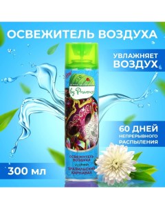 Освежитель воздуха в аэрозольной упаковке серии Green Collection by Бразильский карнавал Provence