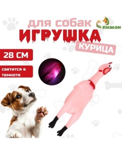 Игрушка пищащая "Курица светящаяся" для собак, 28 см, розовая Пижон