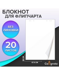 Блокнот для флипчарта, 67.5 х 98 см, 20 листов, 80 г/м2, белизна 92%, белый Calligrata