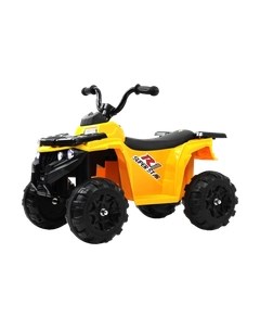 Детский квадроцикл L222LL Rivertoys