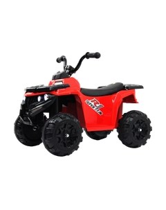 Детский квадроцикл L222LL Rivertoys