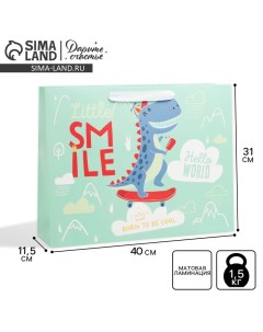 Пакет подарочный ламинированный горизонтальный упаковка Smile L 40 х 31 х 11 5 см Дарите счастье