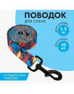 Поводок «Невозможно слиться с улицей», 2.5 см, 1.5 м Пушистое счастье