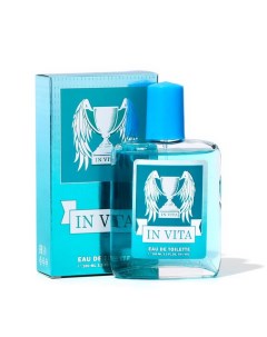 Туалетная вода для мужчин In vita, по мотивам Invictus, Paco Rabanne, 100 мл Абар