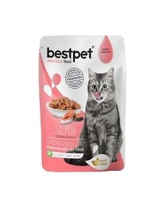 Влажный корм для кошек Bestpet