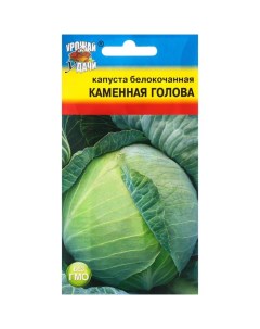 Семена Капуста белокочанная "Каменная голова", 0,5 г Урожай удачи