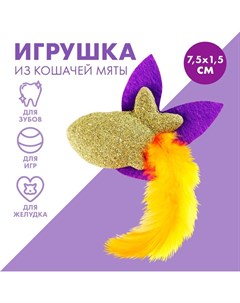 Игрушка для кошек «Радужная рыбка» из кошачьей мяты, 7,5 х 1,5 см Пушистое счастье