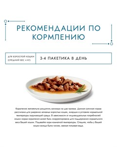 Влажный корм Gourme Perle для кошек, говядина, соус, 75 г Gourmet