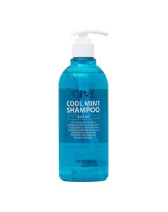 Шампунь для волос Охлаждающий CP-1 Head Spa Cool Mint Shampoo 500.0 Esthetic house