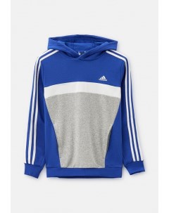 Худи Adidas