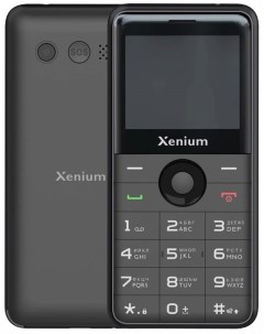 Кнопочный телефон Xenium X700 (черный)