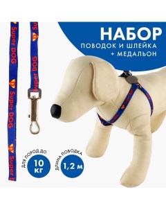 Комплект Super DOG, шлейка 26-39 см, поводок 120х1 см, медальон Пушистое счастье