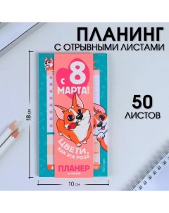 Планер с отрывными листами, 50 л «Корги» Artfox