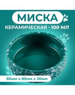 Миска керамическая для грызунов "Брызги" 100 мл 8,5 х 3 см зелёная Пижон