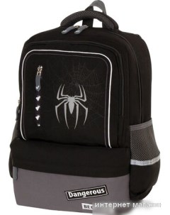 Рюкзак Spider 229978 Brauberg