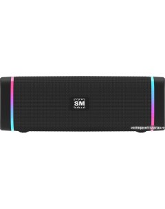 Беспроводная колонка SM-PS5019B (черный) Soundmax