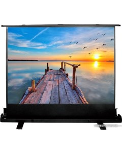 Проекционный экран FloorExpert 113x200 CS-PSFLE-200X113 Cactus