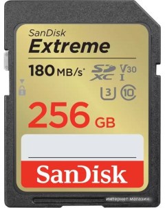 Карта памяти Extreme SDXC SDSDXVV-256G-GNCIN 256GB Sandisk