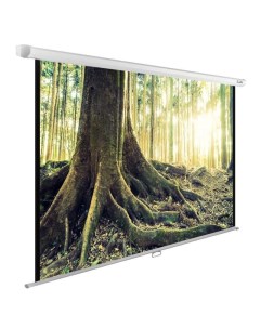 Проекционный экран WallExpert 220x220 CS-PSWE-220x220-WT Cactus