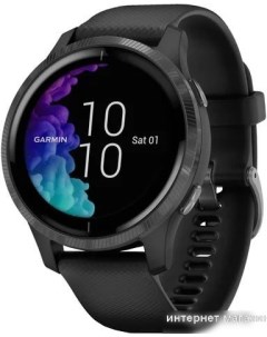 Умные часы Venu (черный/серый) Garmin