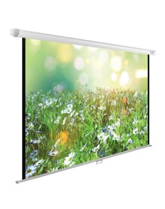 Проекционный экран WallExpert 200x200 CS-PSWE-200x200-WT Cactus