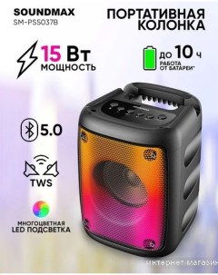 Беспроводная колонка SM-PS5037B Soundmax