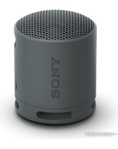 Беспроводная колонка XB100 (черный) Sony