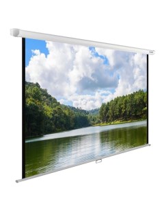 Проекционный экран WallExpert 240x150 CS-PSWE-240x150-WT Cactus