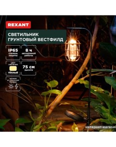 Садовый светильник Вестфилд 602-2425 Rexant