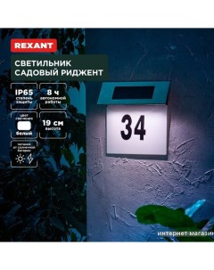 Уличный настенный светильник Риджент 602-2413 Rexant