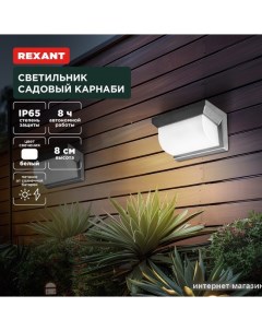 Уличный настенный светильник Кингс 602-2418 Rexant