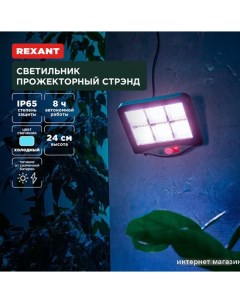 Уличный прожектор Стрэнд 602-2424 Rexant