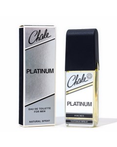 Туалетная вода мужская Chale Platinum, 100 мл Positive parfum